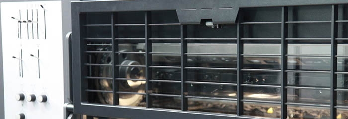 你需要收集哪些圖片來建立家譜？(圖1)